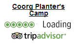 TripAdvisor