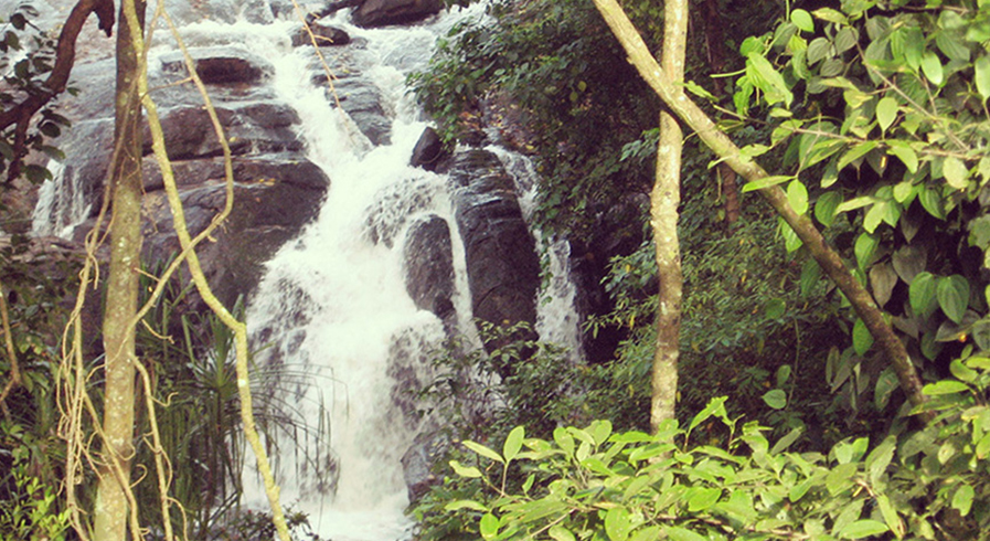 <span>The timeless beauty of the forests, plantations and valleys will captivate you</span><br><a href='#'>Book Now</a>